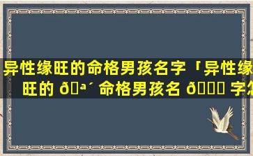 异性缘旺的命格男孩名字「异性缘旺的 🪴 命格男孩名 🐘 字怎么取」